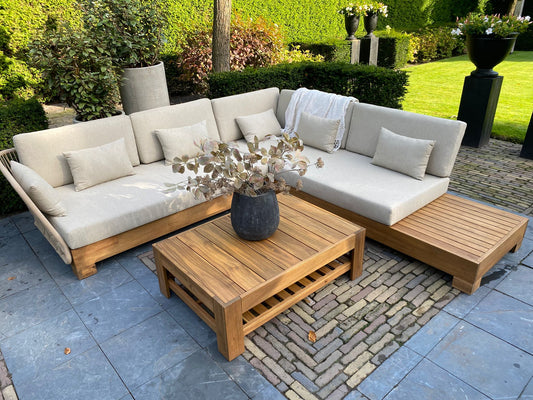 Zonkey Liss - Zonkey